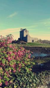 Accomodation in House