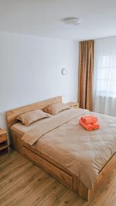 Cosy apartment 3 Fagaras