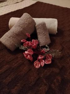 La maison d'amour img1