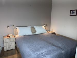 Berolina 331 - Abendrot