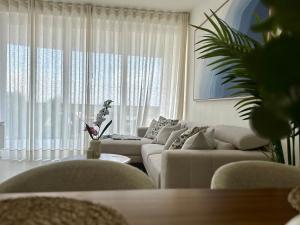 Caribbean 2BR Apartment - Facing the pool