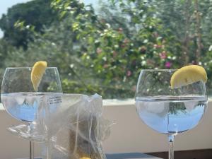 Palau Viewpoint - Attic