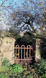 Barn Retreat with Mountain Views