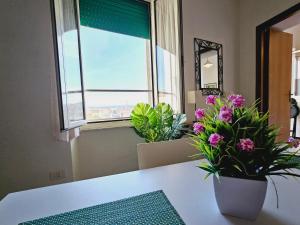 Appartamenti in Centro