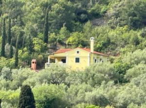 Family Apartment Sofija