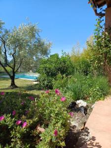 Havre de paix avec piscine au pied du Ventoux