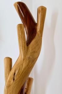 El Cotillo Ocean View