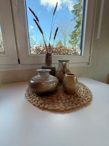 Nieuw Luxe Chalet in Bos met Veel Privacy & Rust!