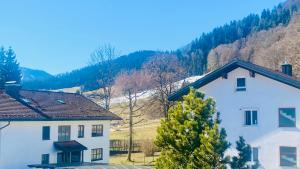 Apartment mit Bergblick kostenloser Parkplatz, WLAN, TV, Einbauküche