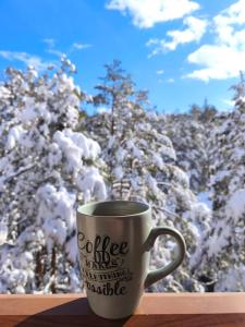 Pine Tree View Vila Pekovic Zlatibor