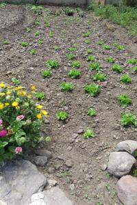 casa de campo con jaccuzi