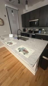 Renovated 3 Bedroom Chicago Downtown Pilsen