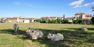 Hotels Relais De L'abbaye : photos des chambres