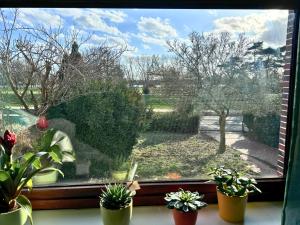 Weserblick Hafen-Haus-Bremen