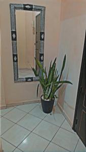 Private building City Center 5G Tech Suite 5min to Beach, 1min to Souk El Had, 7 Step Osmosis Water, MegaLife 25L and IPTV with High Speed Optical Fiber WiFi