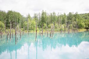 BIEI BREEZE RESERVE - Vacation STAY 50871v