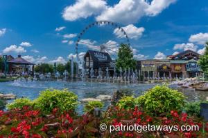 A Beary Cozy Escape by American Patriot Getaways