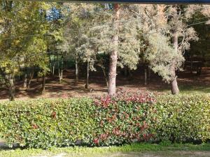 La Marceline Gîte avec piscine près de Lascaux IV