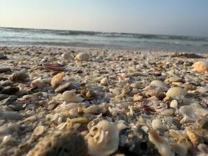 Sea View 3BR Apartment Al Khan Beach Near Dubai,Family Stay