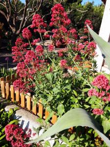Grande chambre lumineuse avec cuisine,sdb et accès a un jolie jardin