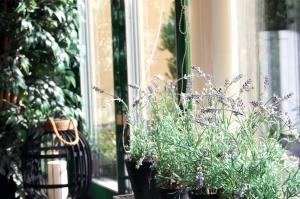 Home Hotel Bolinder Munktell