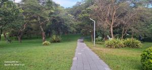 37 Escape Apartments Kingsland city