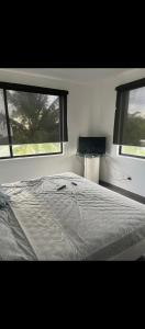 Conjunto del piñón