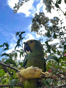 Casa da Mata no Vale dos Sonhos a 30min de Goiânia