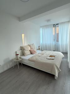 Loft-like Apartment 150 sqm near Veltins Arena