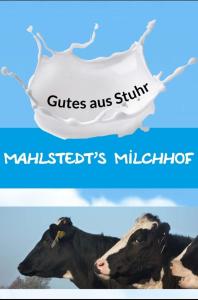 Gemütliche Wohnung mit Blick in die Wiesen