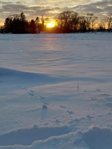 Gemütliche Wohnung mit Blick in die Wiesen