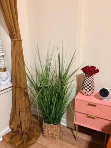 Luxury, Chic, Apt with Game Room, Movie Theatre, & 24hr Gym