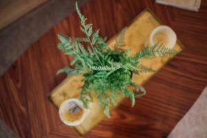 Loge du Pré Carré - hypercentre