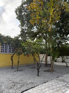 Quarto 1 econômico Centro Itajaí
