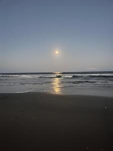 Villa Floriana Jardim & Mar