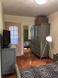 Spacious apartment in the heart of Wroclaw