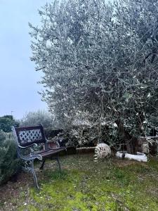 Il Rifugio dorato guest house