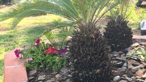 Villetta sul mare img29