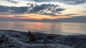 Villetta sul mare img39