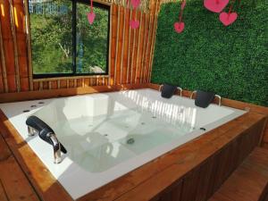 Glamping San Rafael-la cumbre