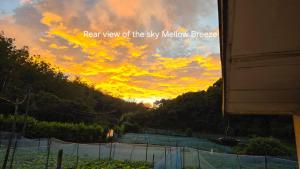 Mellow Breeze