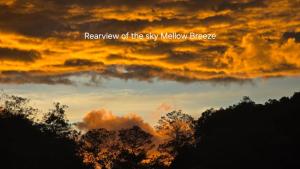 Mellow Breeze