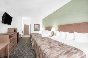 Two King Beds - Mobility/Hearing Accessible with Roll-In Shower - Non-Smoking room in Baymont by Wyndham Pearsall