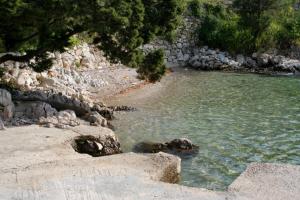 Apartments by the sea Brna, Korcula - 24978
