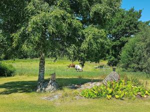 6 person holiday home in Fjällbacka