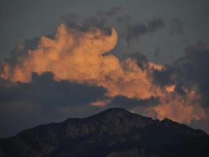 Poolside Bliss Near Lake