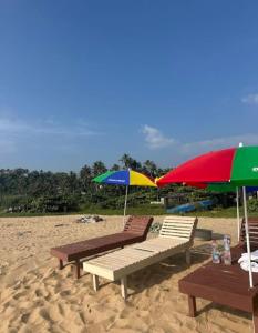 Dolphin beach resort