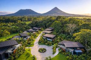 Noahs Forest by Tifakara