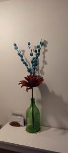 Les Houches centre apartment three bedrooms easy skia access balcony with mountain views sleeps five