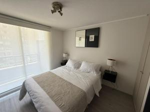 Comfort and luxury in downtown Santiago